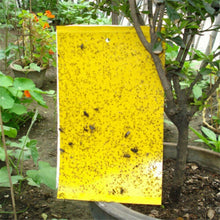 Load image into Gallery viewer, Two-sided Stickers Glue Fruit Fly Bug Killer Insects Yellow Hang Catcher Fly Trap