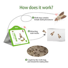 Load image into Gallery viewer, 5 Pack Cloth Pantry Food Moth Trap Pheromone Killer Paste Sticky Glue Trap Pest Reject Fly Insects