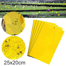 Load image into Gallery viewer, Two-sided Stickers Glue Fruit Fly Bug Killer Insects Yellow Hang Catcher Fly Trap