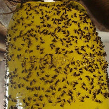 Load image into Gallery viewer, Two-sided Stickers Glue Fruit Fly Bug Killer Insects Yellow Hang Catcher Fly Trap