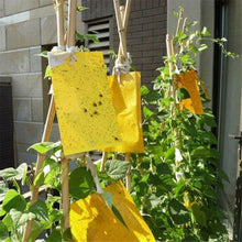 Load image into Gallery viewer, Two-sided Stickers Glue Fruit Fly Bug Killer Insects Yellow Hang Catcher Fly Trap