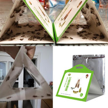 Load image into Gallery viewer, 5 Pack Cloth Pantry Food Moth Trap Pheromone Killer Paste Sticky Glue Trap Pest Reject Fly Insects