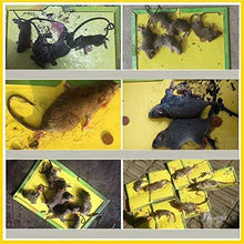 Load image into Gallery viewer, Mouse Board Sticky Mice Glue Trap High Effective Rodent Rat Snake Bugs Catcher
