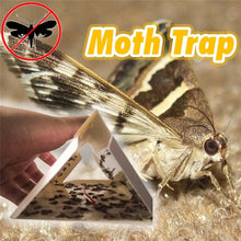 Load image into Gallery viewer, 5 Pack Cloth Pantry Food Moth Trap Pheromone Killer Paste Sticky Glue Trap Pest Reject Fly Insects
