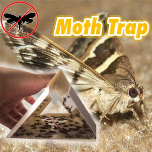 5 Pack Cloth Pantry Food Moth Trap Pheromone Killer Paste Sticky Glue Trap Pest Reject Fly Insects